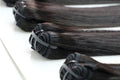 Signature Silk Raw Hair
